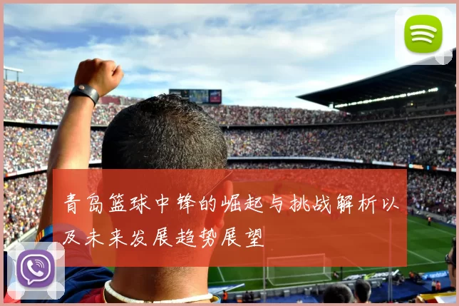 青岛篮球中锋的崛起与挑战解析以及未来发展趋势展望