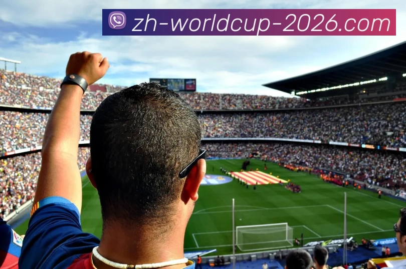 世界杯平台生态图